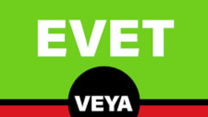 Size 10 milyon dolar versem kabul edermisiniz 1 şartı var şarti aşağida mevcut evet mi hayir mi sizce?