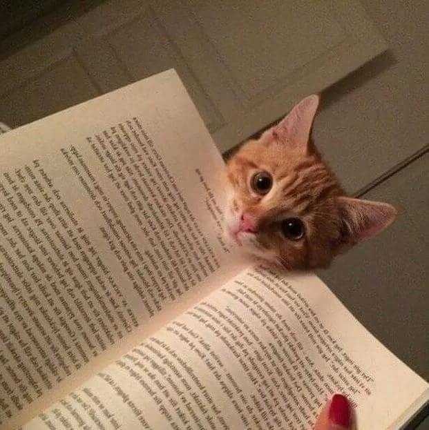 Çocuklara kitaplarımı elletmemem beni bencil mi yapar?