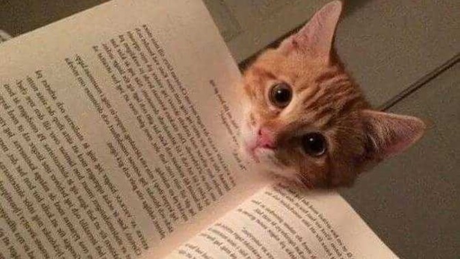 Çocuklara kitaplarımı elletmemem beni bencil mi yapar?