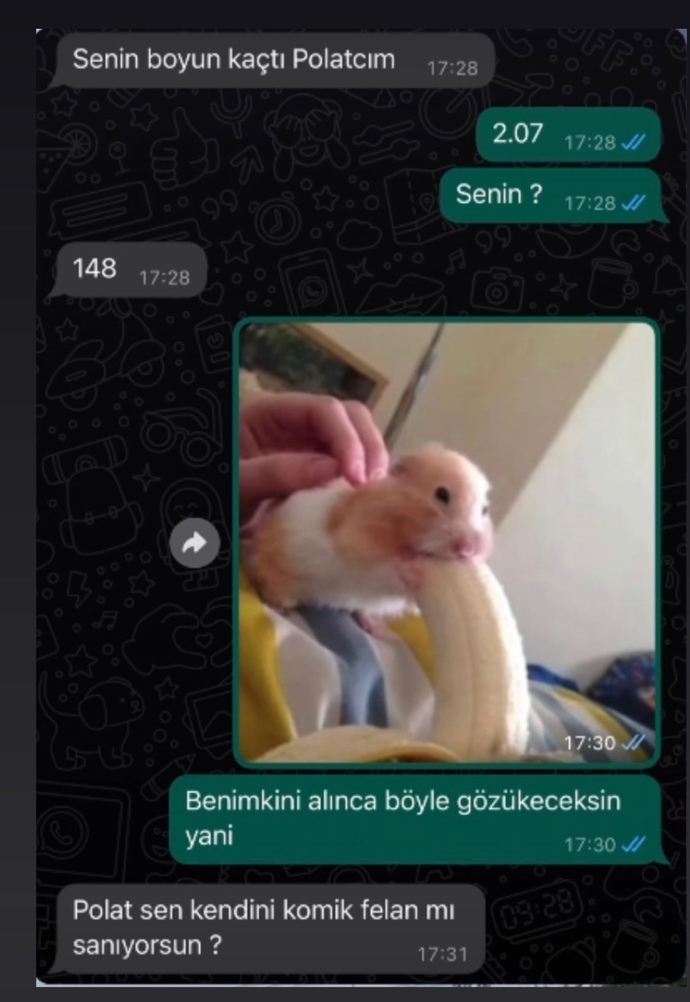 Sevgiliniz boyunuzla dalga geçse sinirlenir misiniz?