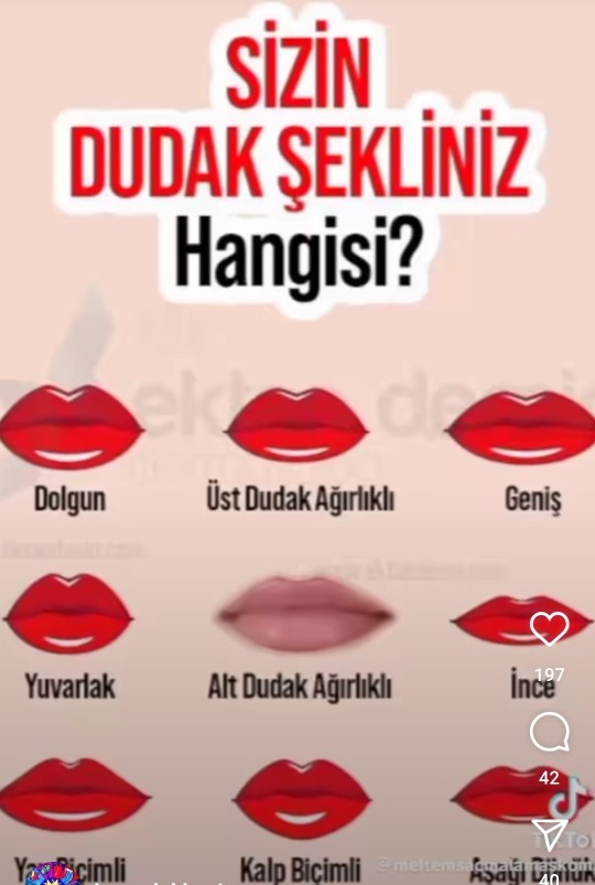 Senin dudak şeklin hangisi?