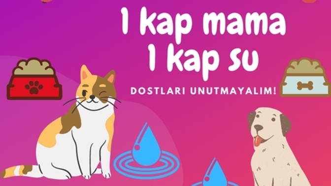 Bu sıcak günlerde kapı/cam önüne, minik dostlarımız için bir tas yemek ve su koyuyor musunuz?