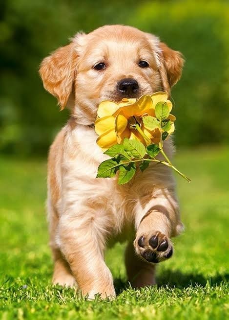 İhtiyacım olan tek şey... Cümlesini nasıl tamamlarsınız 💕?