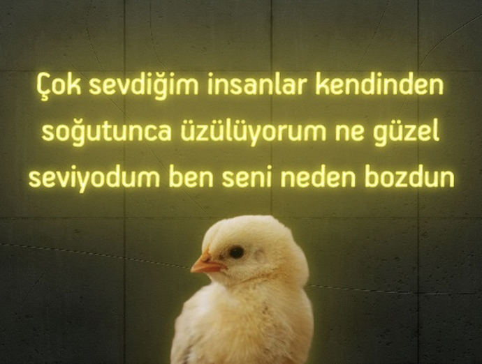 😅