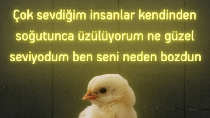 Sevdiğin insanlardan soğuduğun zaman üzülür müsün?
