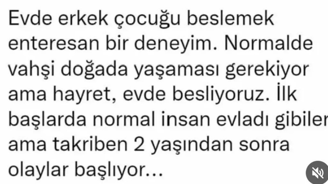 Erkek çocukları büyütmek mi daha zor, kız çocukları mı?