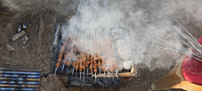 Mangal yaparken, kuşbaşı kebap mı yoksa tavuk ızgara mı tercih edersiniz?