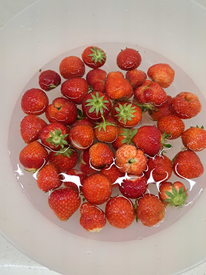 Bahçemden tadına doyamıyorum 🍓🥰