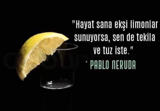 Hayatın size sunduklari karşısında, tutumunuz nasil?