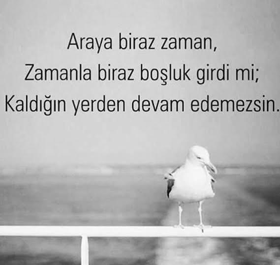 vardır şanslılar