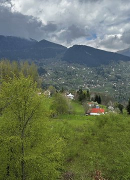 Şehir hayatı mı senlik, köy hayatı mı?