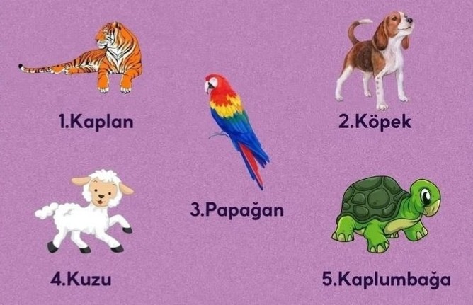Kapınız çalındığında hangi hayvan size iyi veya kötü haber getirsin istersiniz?