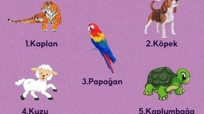 Kapınız çalındığında hangi hayvan size iyi veya kötü haber getirsin istersiniz?