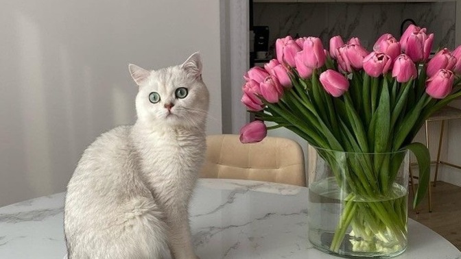 Çook özlediğiniz bir şeyler var mı?