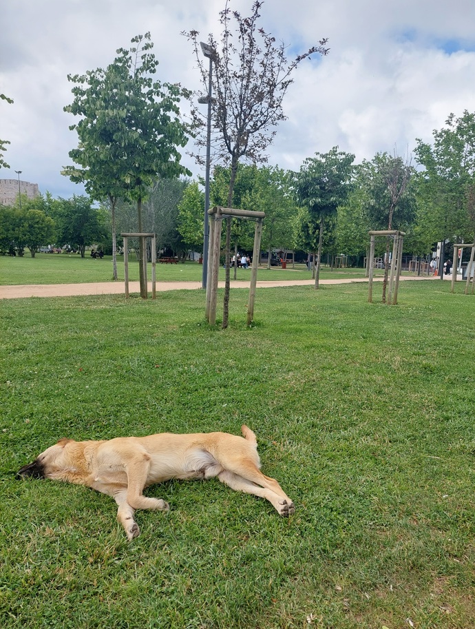 Pazartesi gününüz nasıl geçiyor?