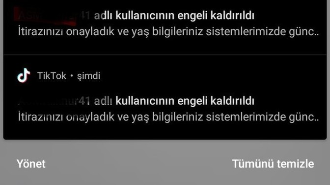 Tiktok 18 yas ihlali ama ben 24 yasindayim?