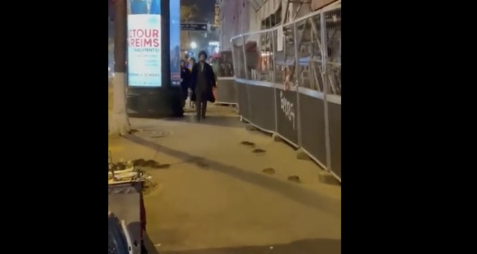 Farelerle başa çıkamayan Paris yönetimi, “İnsanlarla fareler bir arada yaşayabilir mi” sorusuna cevap arıyor. İnsanlarla fareler bir arada yaşayabilir mi?
