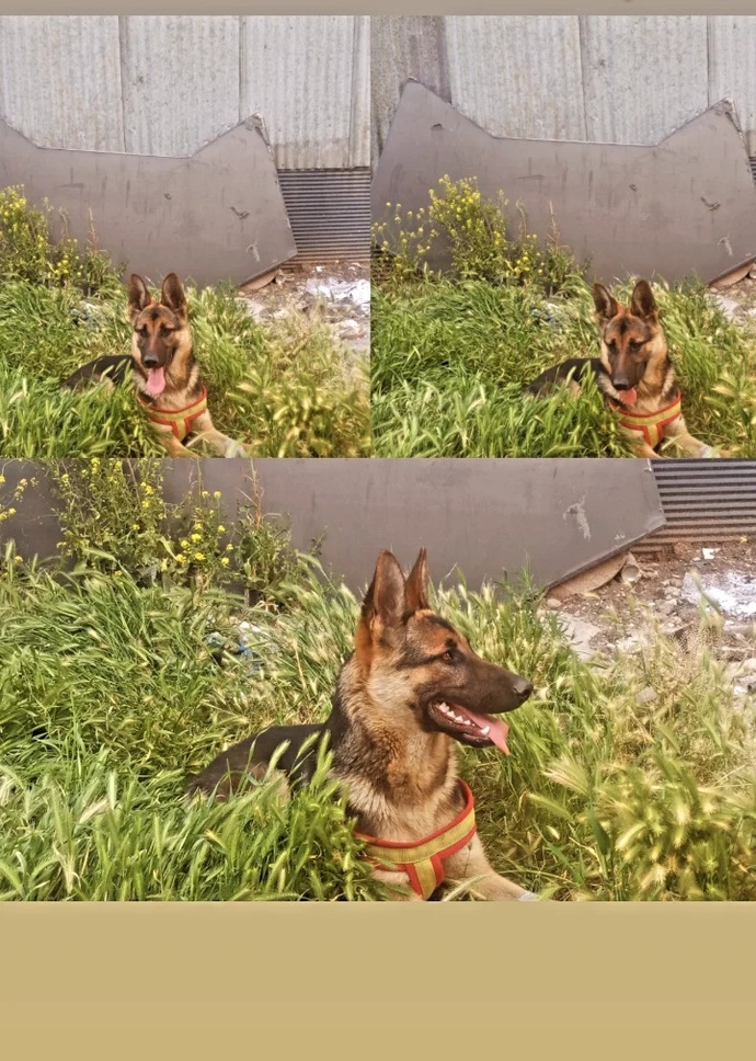 Hayatında ne olursa her şey güzel olacak?