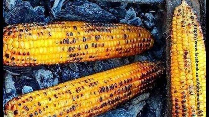 Yaz mevsiminin en güzel yanı ne sizce?