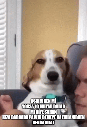 Kızlar mı daha duygusuz erkekler mi?