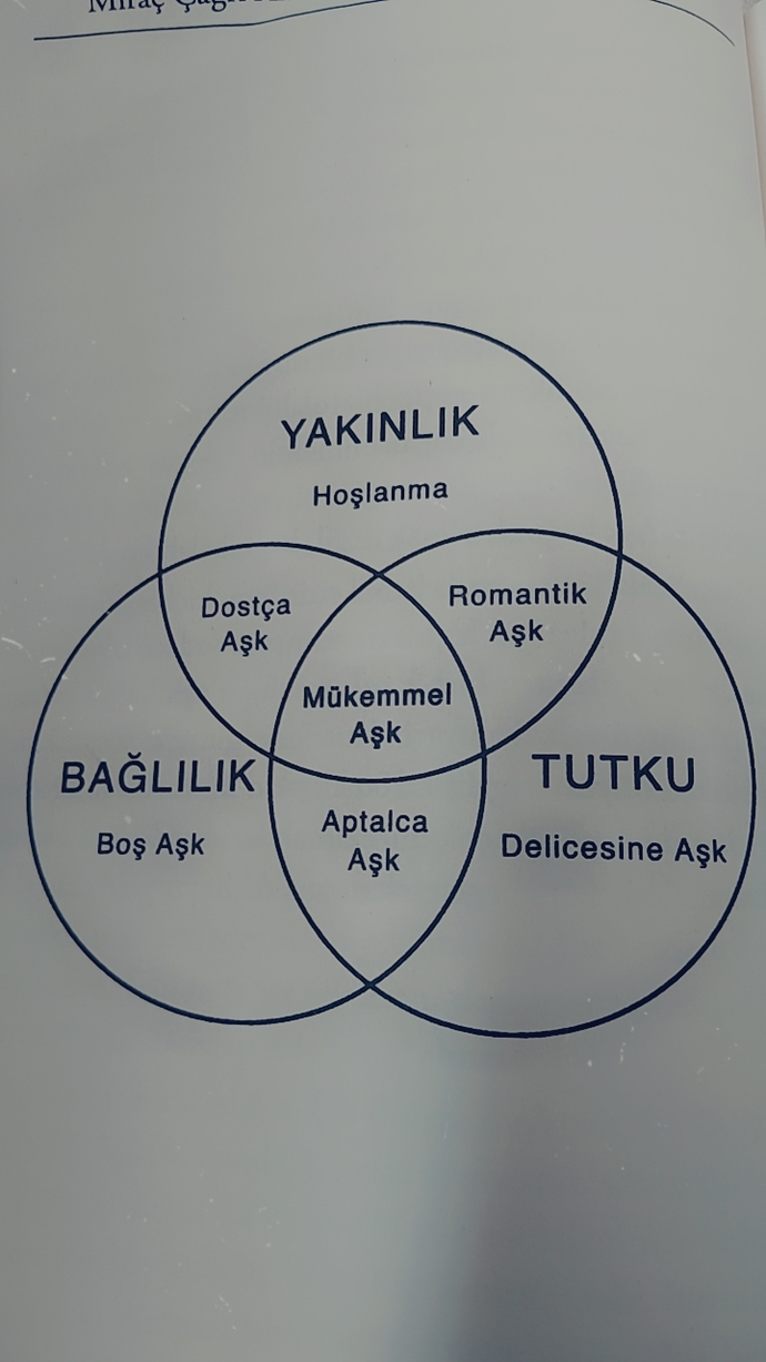 Size göre delicesine aşk ve mükemmel aşk arasındaki fark nedir?