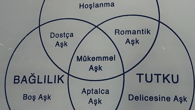 Size göre delicesine aşk ve mükemmel aşk arasındaki fark nedir?