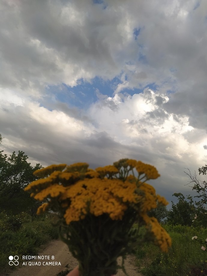 En son neyin fotoğrafını çektin?