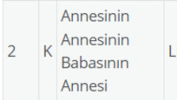 E-devletten soy ağacı sorgulaması yapıyor musunuz?
