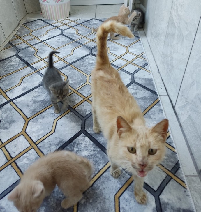 Bunları neyle doyurabiliriz?
