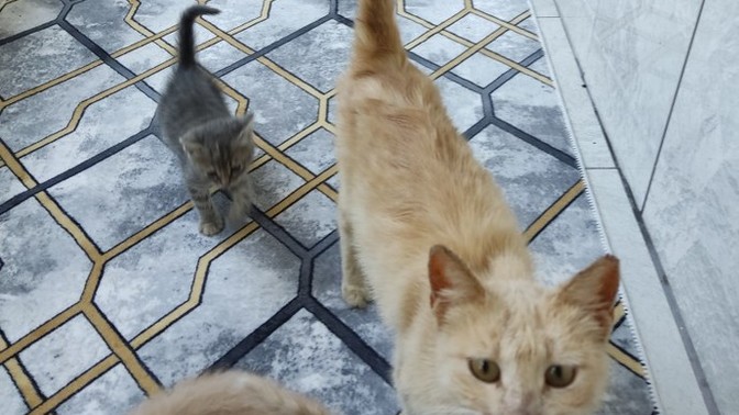 Bunları neyle doyurabiliriz?