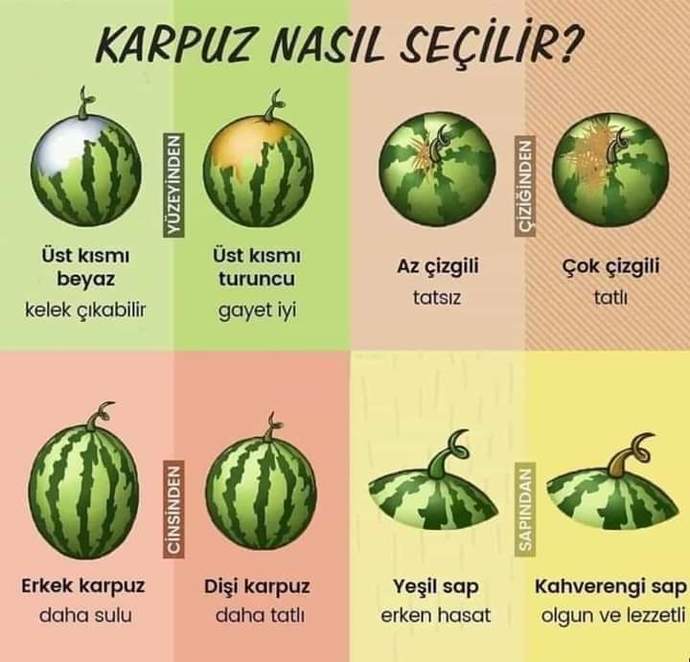 Karpuz seçmeyi biliyor musunuz?
