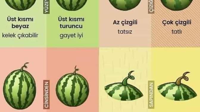 Karpuz seçmeyi biliyor musunuz?