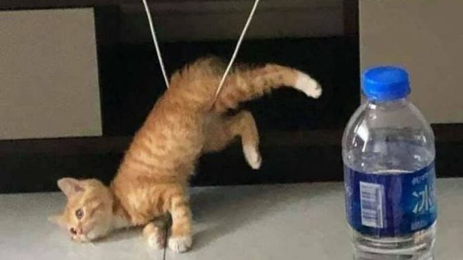 Beceriksiz olduğun konular var mı?