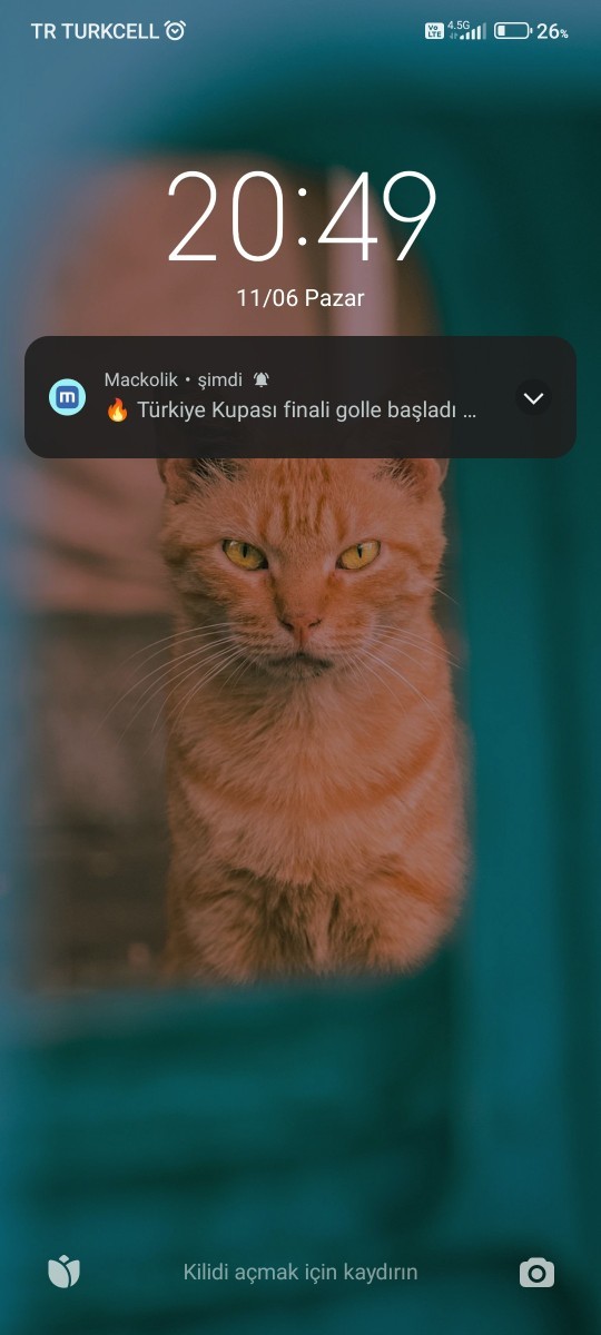 Son olarak neyin ekran resmini aldınız?