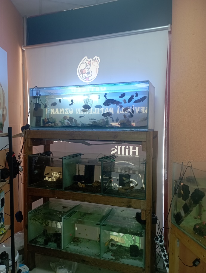 Ben de Pet shoptayım. Bakıyoruz bişeyler