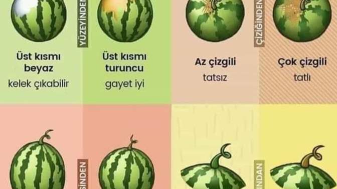 Seçmesini bilir misin?