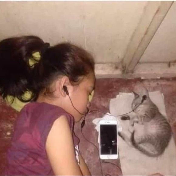 💤🎶