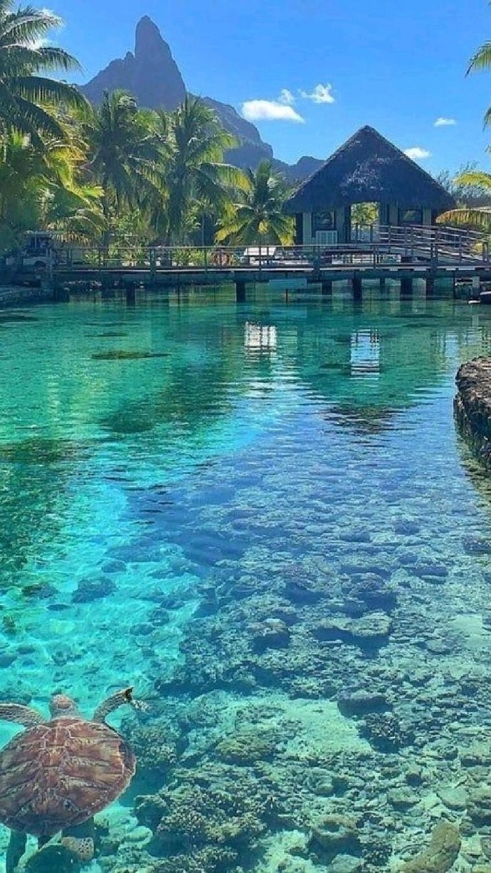 Beş gecelik bir tatil kazansaydın tercihin aşağıdakilerden hangisi olurdu?