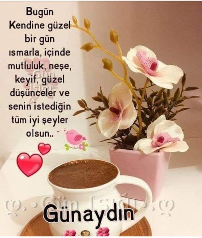 Fışkıran şeyler diyince ilk aklına gelen şey nedir? Fışkıran şeylere üç örnek verirmisin ?