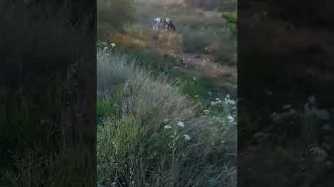Gördüğünuz en abez manzara neydi?