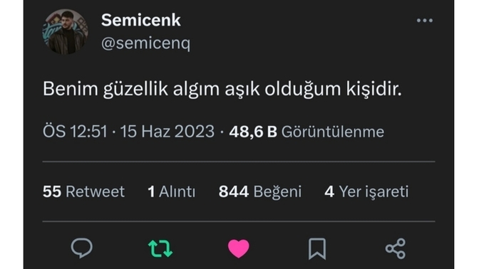 Güzellik algınızı tek bir cümle ile ifade edebilir misiniz?