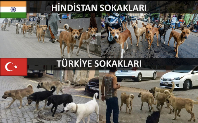 Benzer işler.