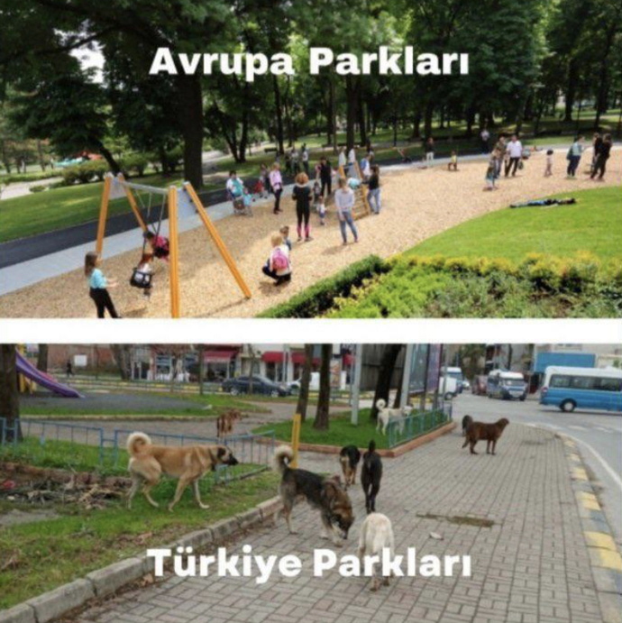Kalite farkı.