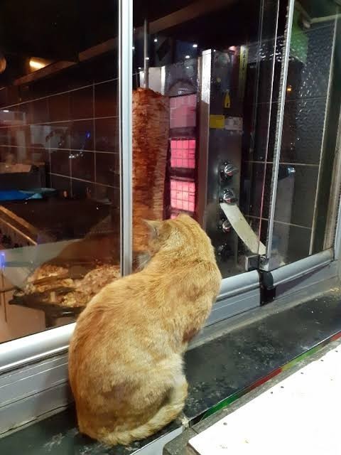 İnternette yemek resmi görünce acıkıyormusunuz?