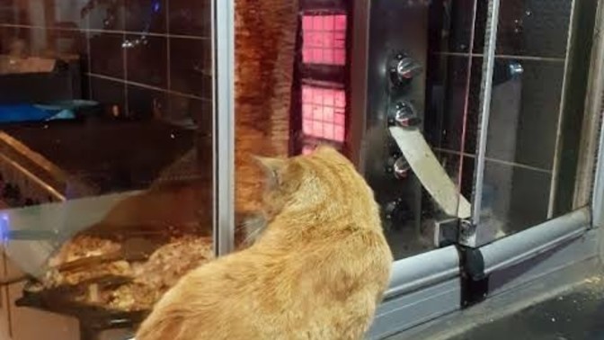 İnternette yemek resmi görünce acıkıyormusunuz?