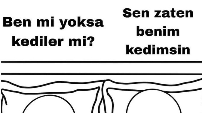 Size böyle bir soru gelse cevabınız ne olurdu?