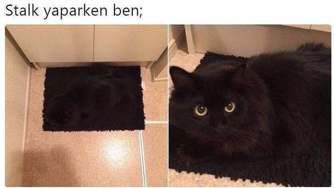 Stalk yapmak bir meslek haline gelseydi aylık maaşınız ne kadar olurdu?