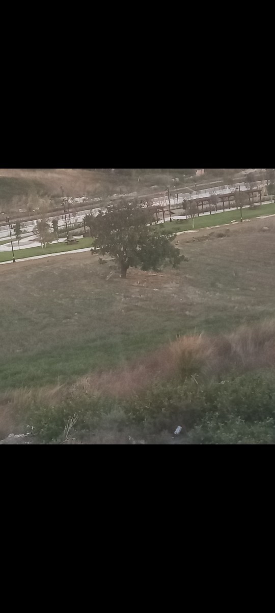Fotoğraflardan hangisi sizde hangi şarkıyı çağrıştırıyor?