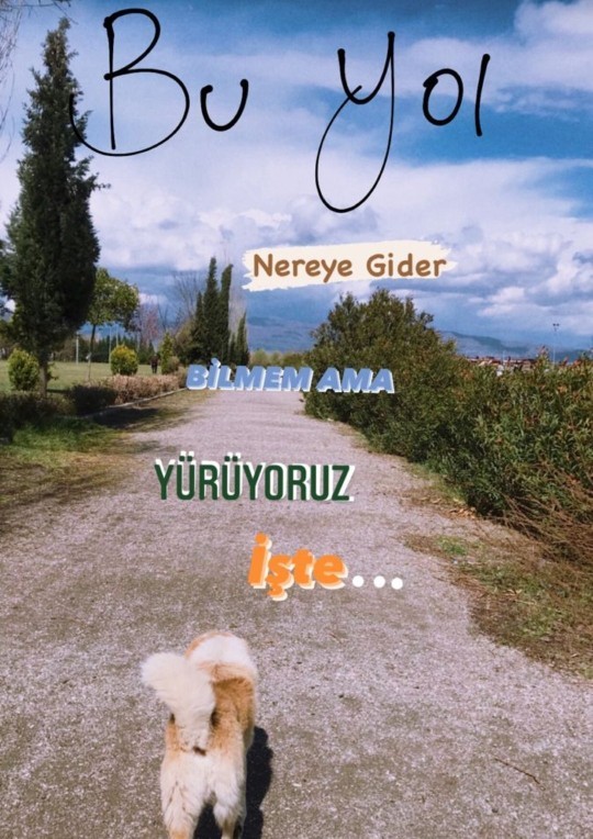 Günde kaç bin adım atıyorsunuz🐾?