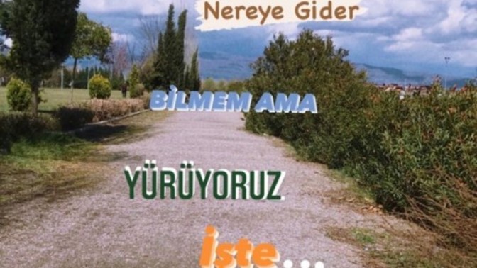 Günde kaç bin adım atıyorsunuz🐾?